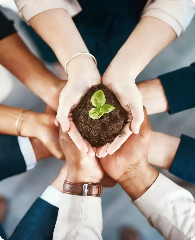 Why Sustainability is Core to Our Lighting Philosophy?